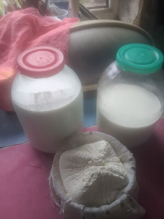 продам молоко та творог
