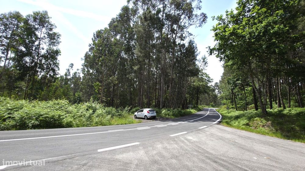 Terreno p/ construção Fervença Celorico de Basto
