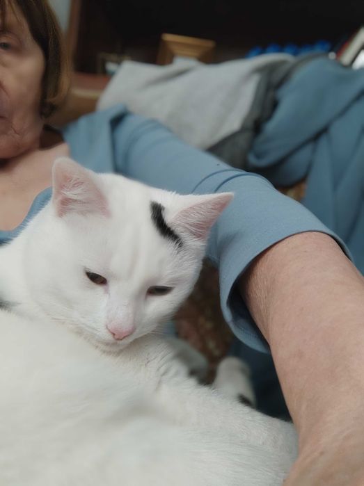 gdzie człowiek którego Śnieżynka pilnie szuka? DOM Z OGRÓDKIEM