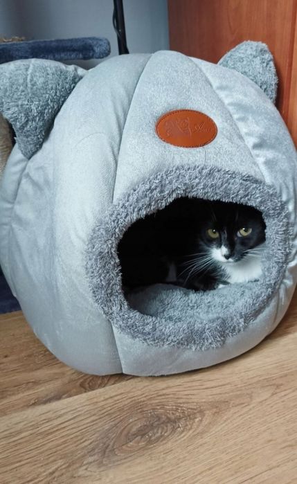 Domek, legowisko dla kota