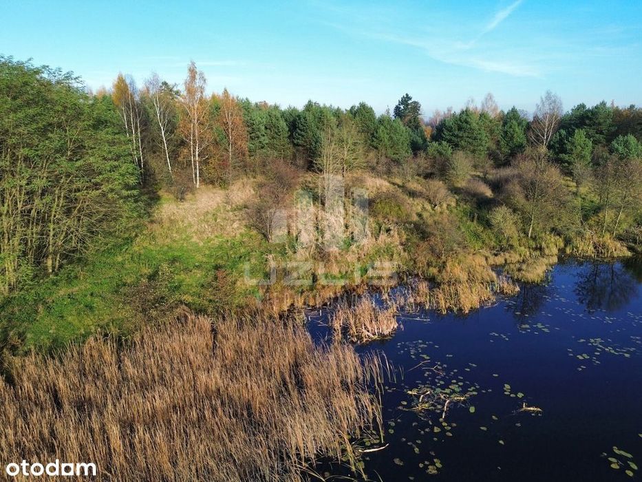 Działka 5000 m² | Widok na wodę | Las - View 6