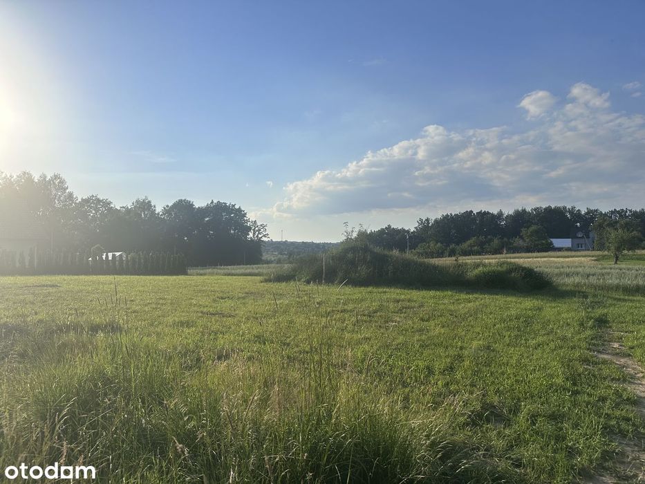 Działka budowlana 1700 m² las, w niedalekiej odległości od jeziora - Widok 2