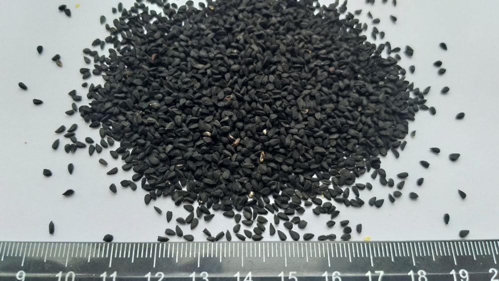 Тмин чёрный Калінджи (Nigella Satival) семена Латвия