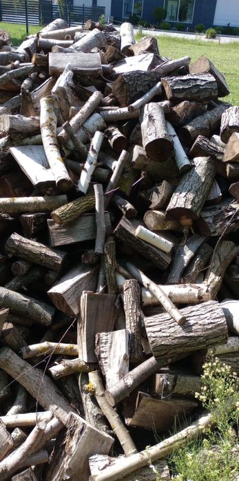 Drzewo rąbane opałowe