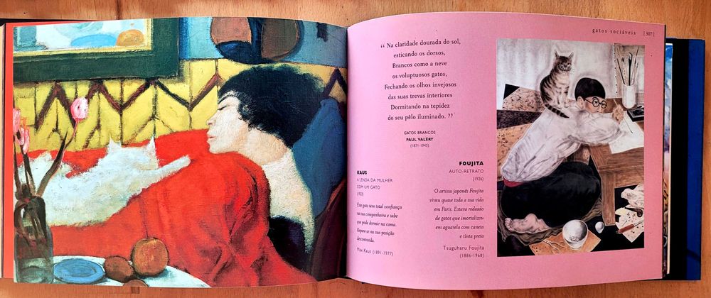 Gatos Selvagens e Felinos Mimados