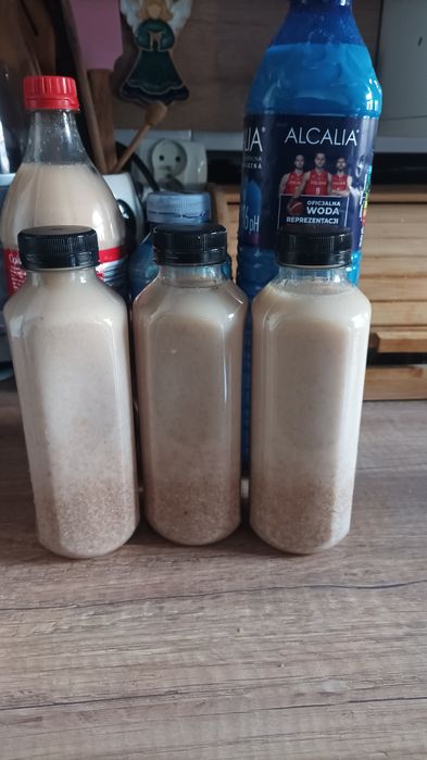 Grzyby w zalewie leczo