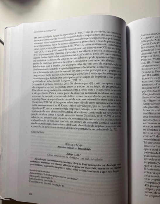 Comentário ao código civil: direito das coisas