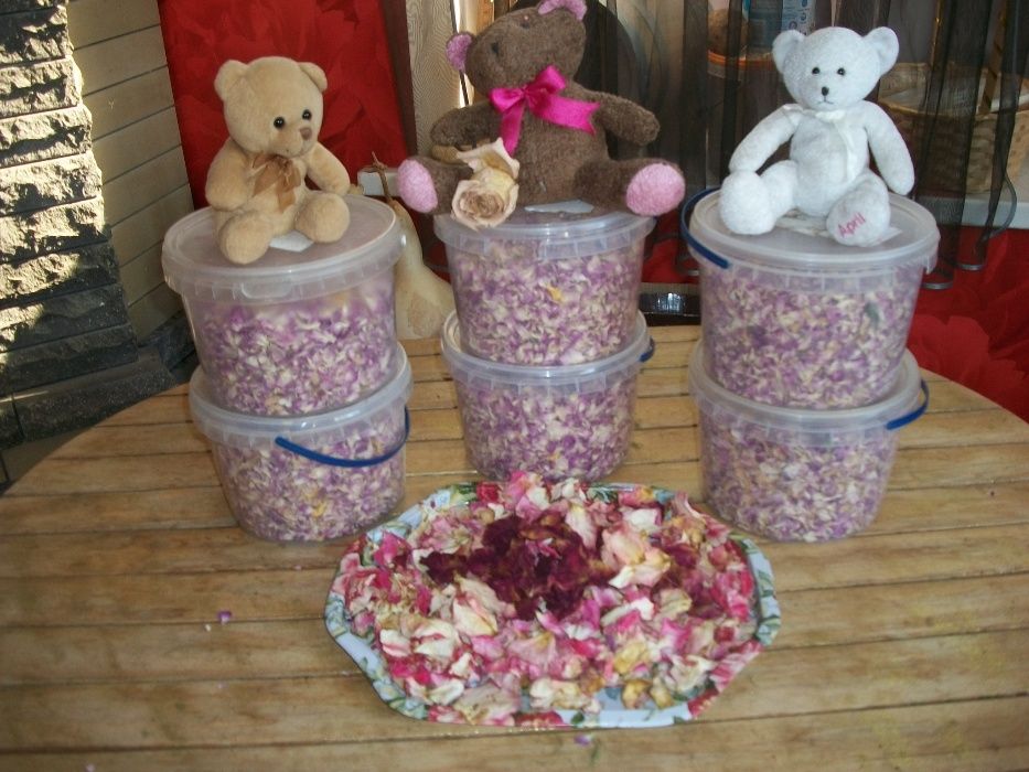 Лечебный чай из лепестков эфиромасличной крымской розы 2025 г.