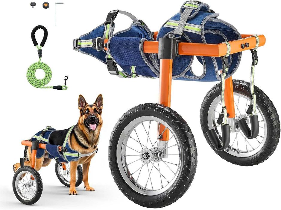 Cadeira de Rodas para Cão