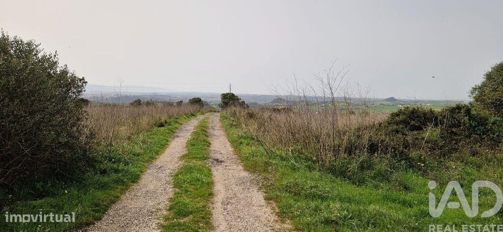 Terreno Agrícola em Mafra