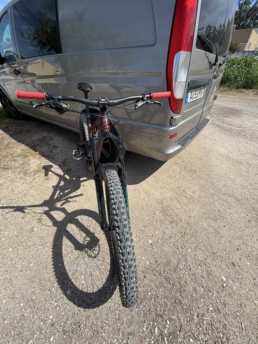 Specialized status 2021