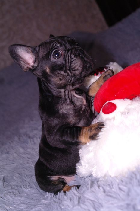 Балибейчик ждёт Вас