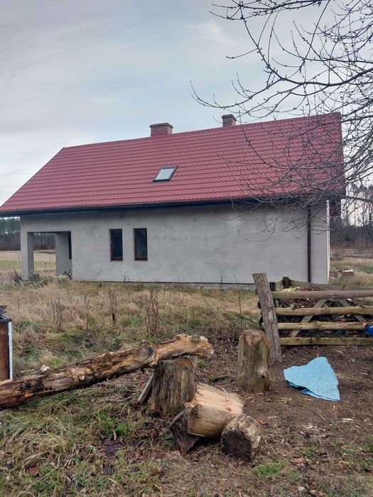 Zdjęcie 2