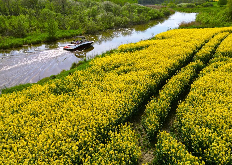 RANDEZ-VIEW - nad jeziorem, nocleg Mazury, TV55', Netflix, fvat, garaż