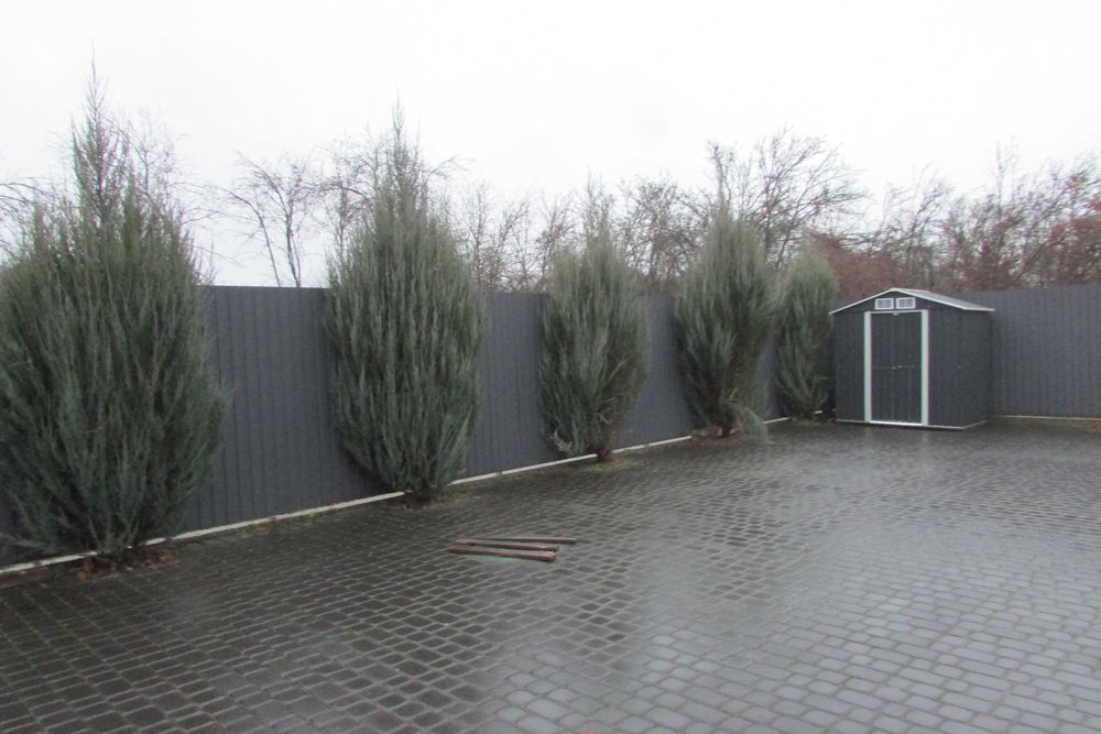 Боярка-Тарасівка. Таунхаус. вул. Мирославська, 18