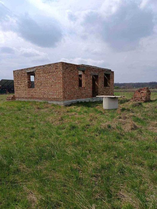 Старі Кривотули,ідеальна діляна