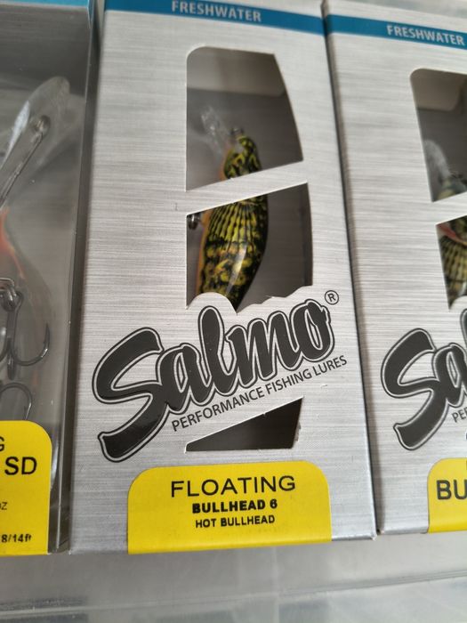 Salmo Bullhead Minnow