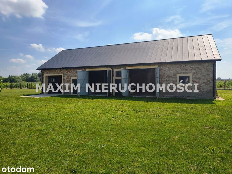 Zdjęcie 8