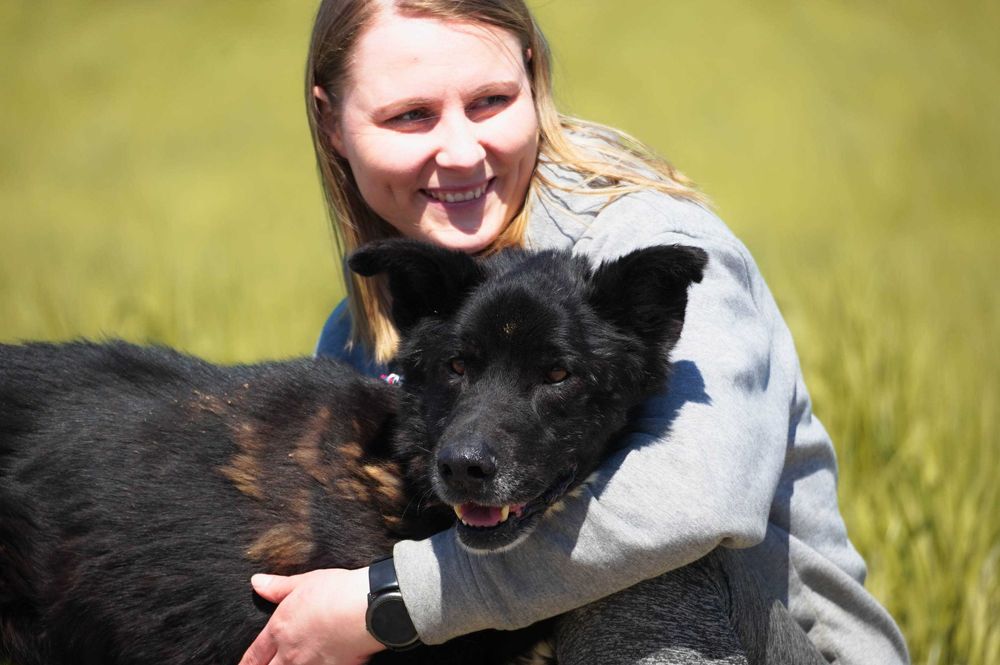 Ciacho - duży fajny pies szuka rodziny