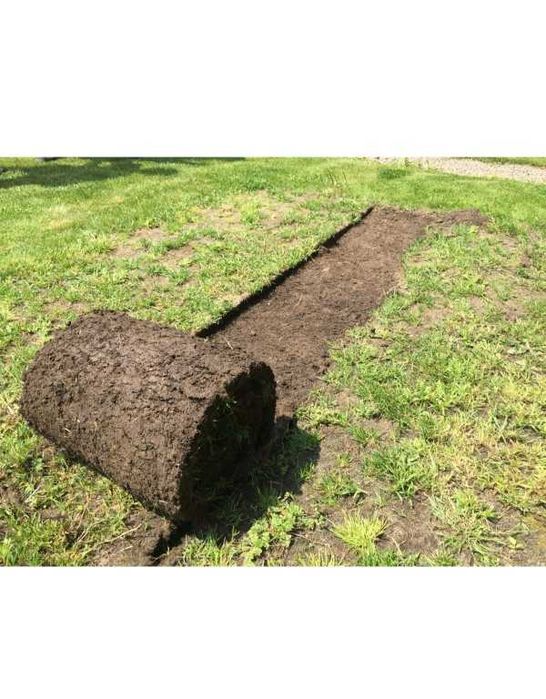 WYNAJEM Koparka łańcuchowa z napędem gąsienicowym Wypożyczalnia