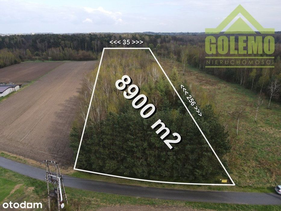 Działka Budowlano-Rekreacyjna / 8900 m² / Łochynia - Widok 2