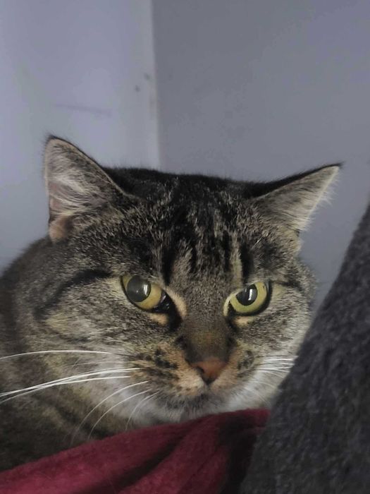 Do adopcji - Sara i Rybka