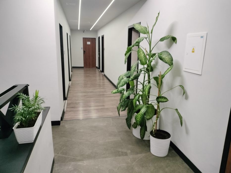 Pomieszczenie usługowo - biurowe