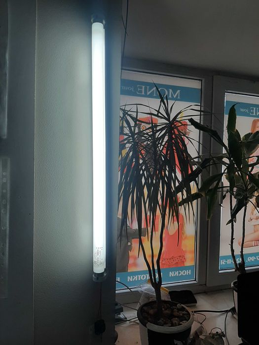 Светильник люминисцентный Настенный