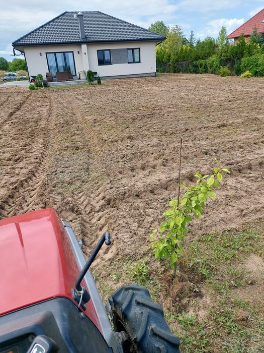Glebogryzarka separacyjna i zwykła usługi.
