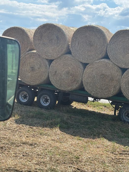 Słoma Słoma Żytnia