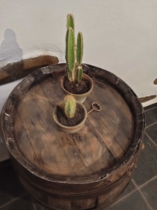 Barril de vinho em carvalho restaurado – peça decorativa única