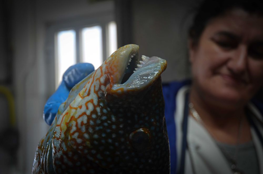 Serviços de Fotografia