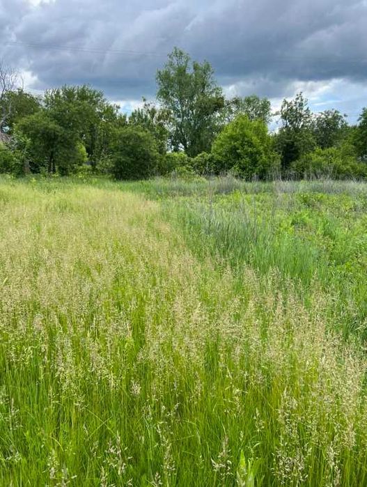 Пропоную до продажу будинок в с. Березняки.ЦІНУ ЗНИЖЕНО