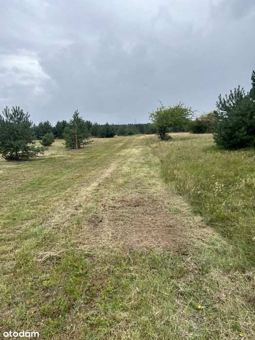Działka budowlana 3010 m² prąd w drodze