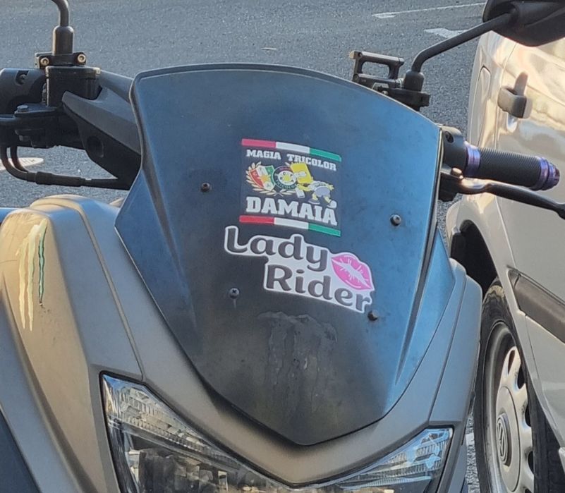 Vendo vidro / para lamas nmax 2020 original negociável