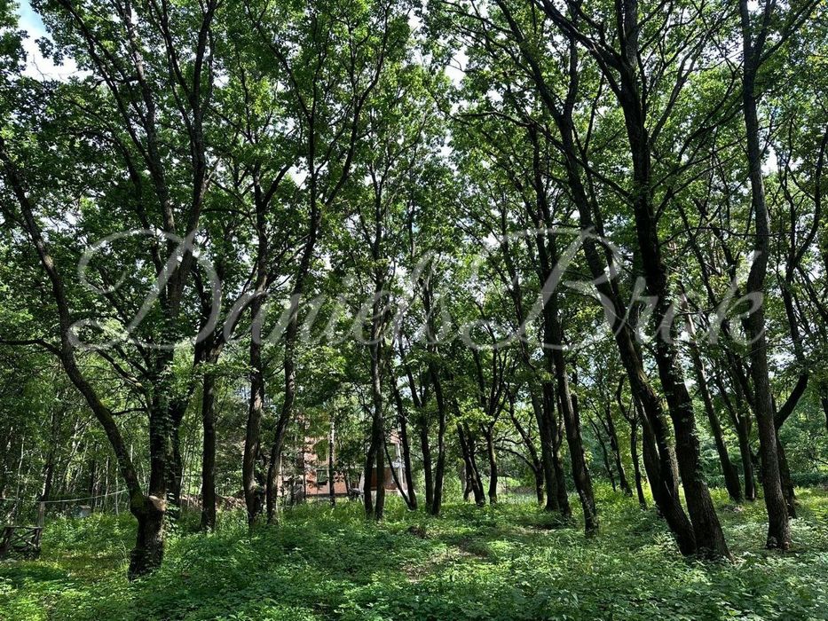 Конча Заспа, современный дом в стиле хай-тек