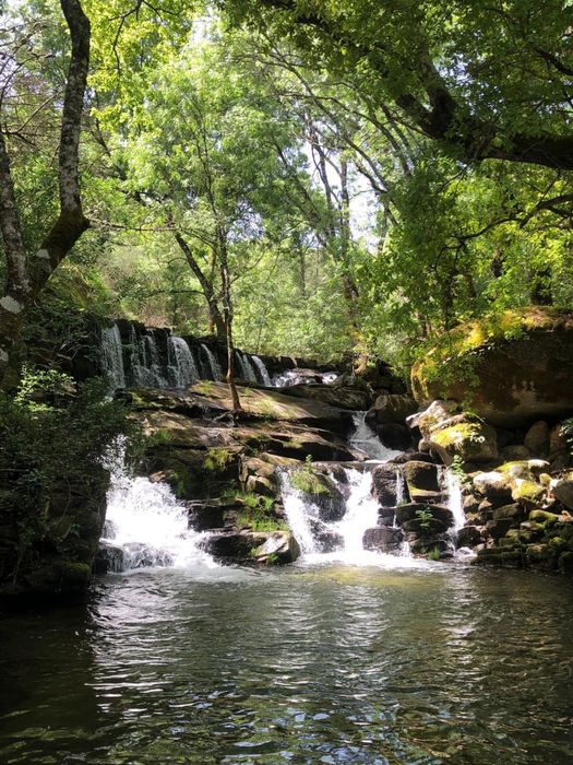 Exclusive Quinta for Sale – 25 Hectares | 1 km from the Mondego River Bank | Ribamondego (Gouveia)