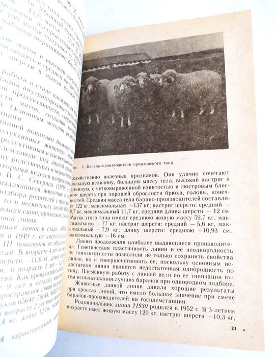 ЦИГАЙСКАЯ Овцеводство руководство овцы справочник племенная работа