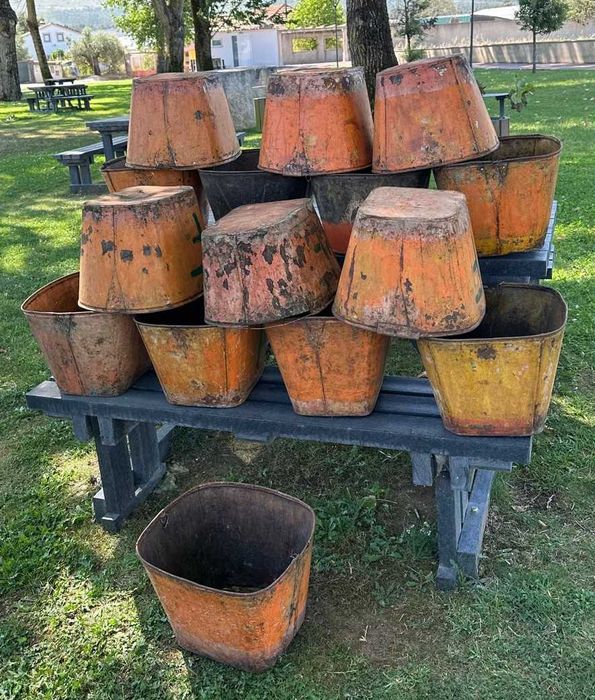 Latoaria tradicional cestos em latão para apanha da fruta, floreiras