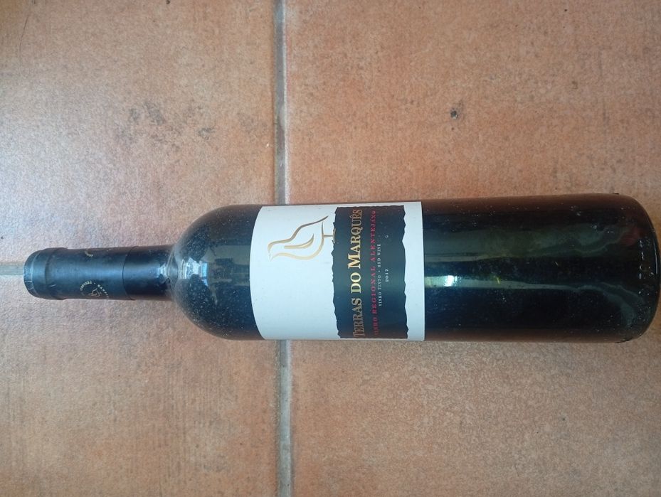 Vinhos antigos de várias regiões e castas
