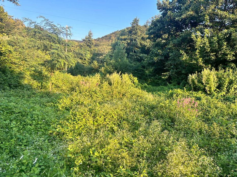 Продаж ділянки під лісом (район ресторану "Камелот")