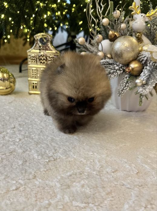 Супер-МІНІ хлопчик