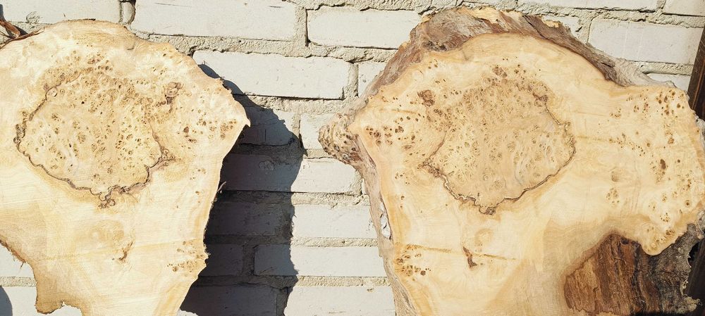 Blat krążek na stolik kawowy czeczota pod żywicę monolit