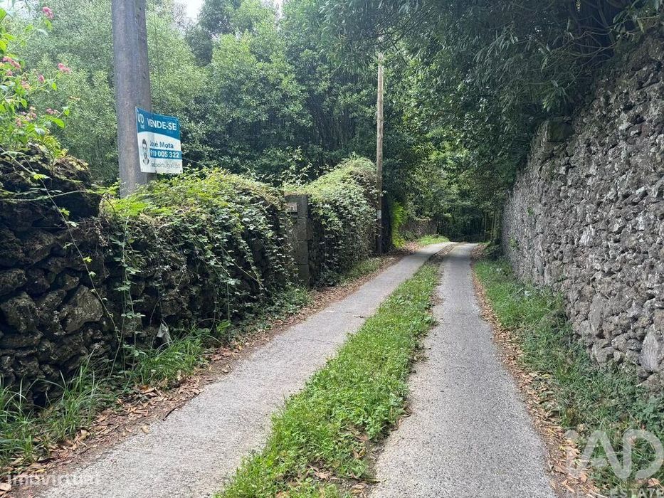 Terreno Agrícola em Lagoa (Nossa Senhora do Rosário)