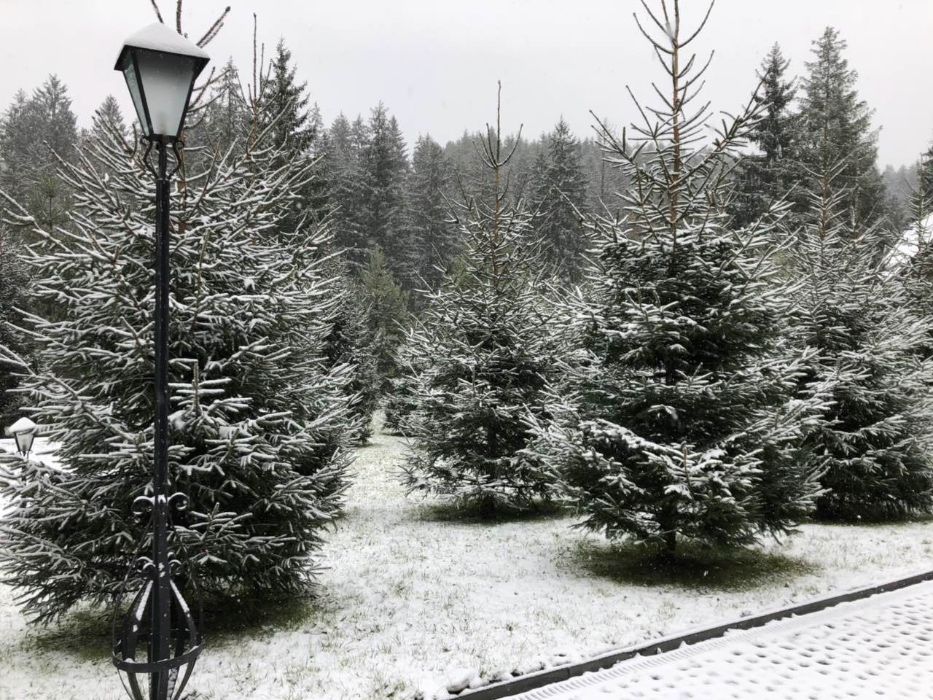 Гостиничный комплекс (отель)