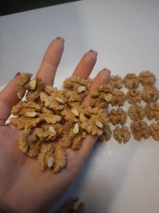 Грецький горіх волоський сухий світлий бабочки четвертинки грецкий оре