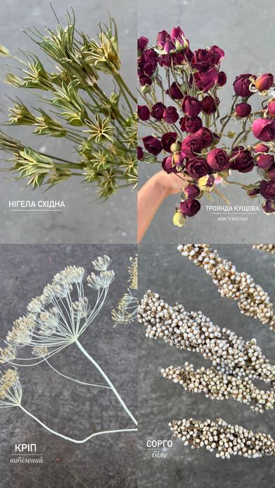 Дідухи. Набір для дідухів. Злаки та сухоцвіти для дідухів