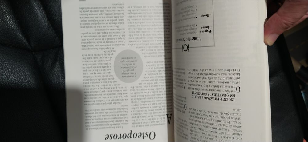 Lote revistas gastronomia