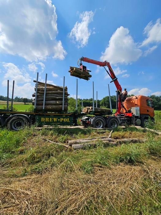 Transport drewna usługi hds