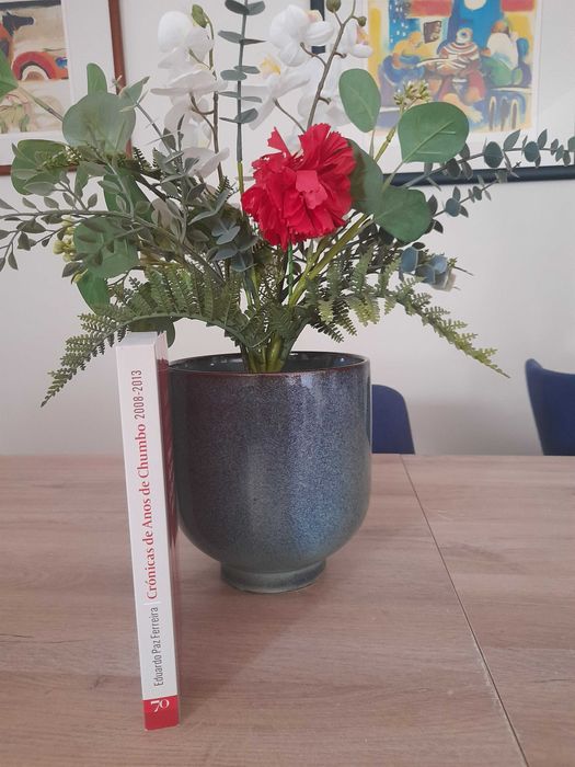 Crónicas de Anos de Chumbo